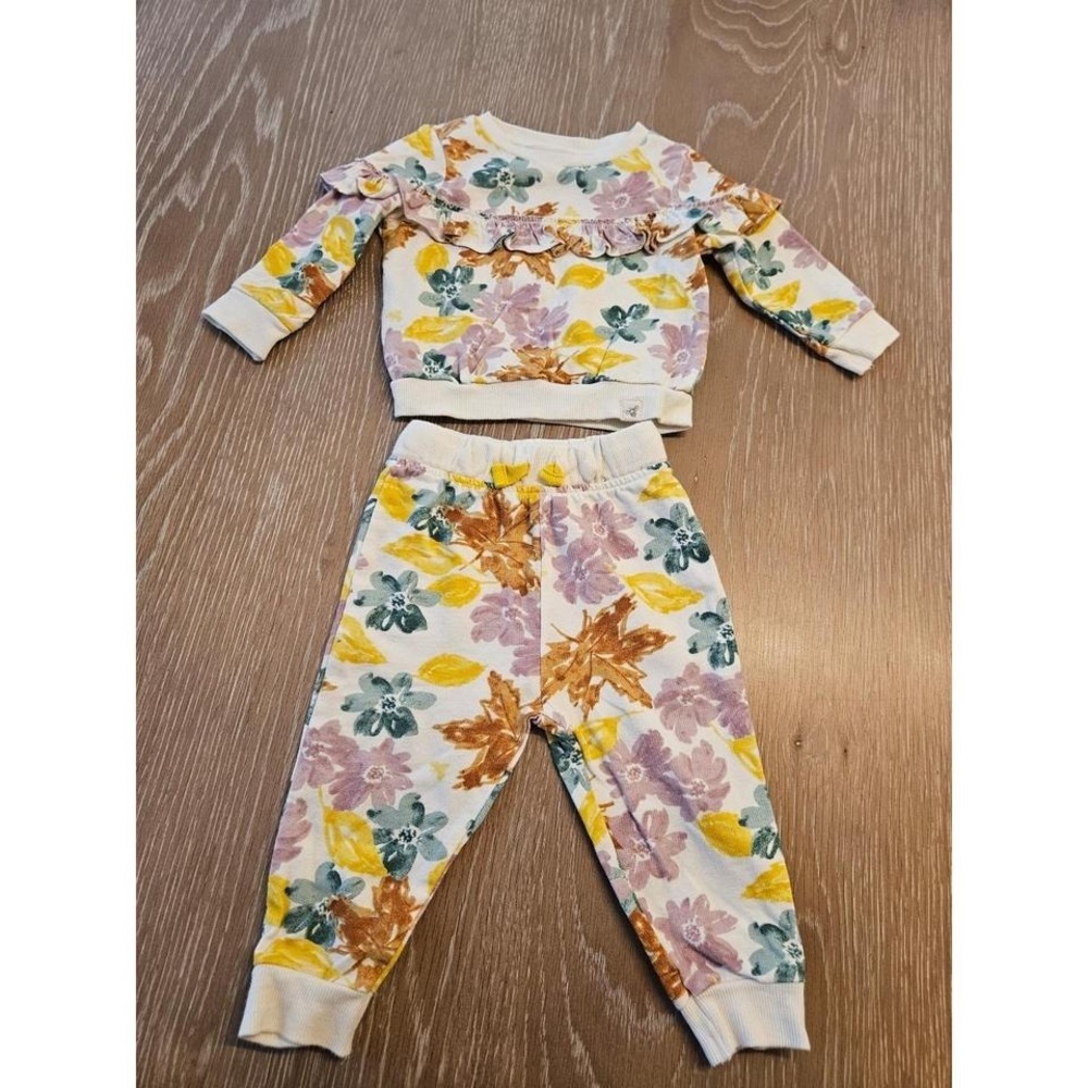 Burt's Bees baby girl outfit‎ 3-6 mos